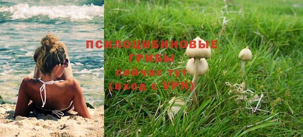хмурый Михайловка