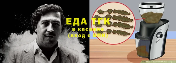 индика Михайлов