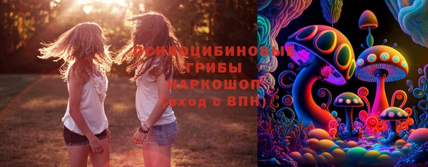 хмурый Михайловка