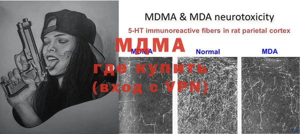 индика Михайлов