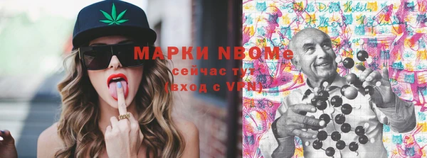 индика Михайлов