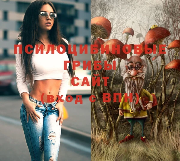 индика Михайлов