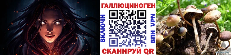Псилоцибиновые грибы Psilocybe  купить наркоту  Белореченск 