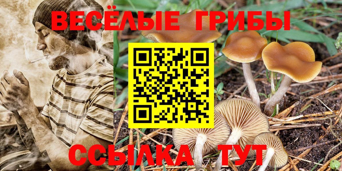 Галлюциногенные грибы MAGIC MUSHROOMS Белореченск
