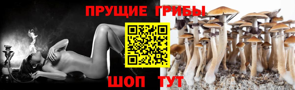 Галлюциногенные грибы ЛСД  Вход с VPN  Белореченск 